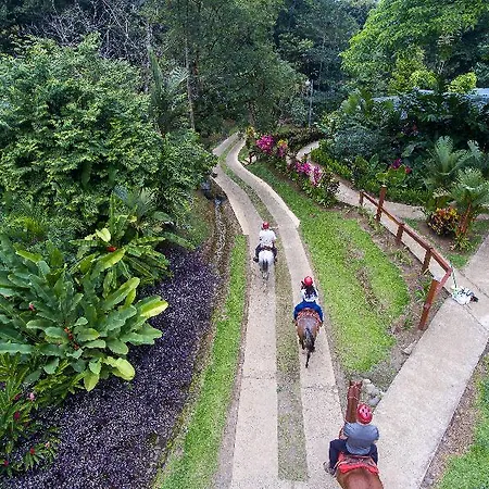 Chachagua Rainforest Ecolodge